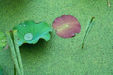 《LUNA-3X》登陆Switch 奇趣动作闯关冒险